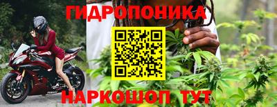 прущие грибы Краснокаменск