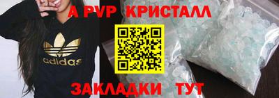 прущие грибы Краснознаменск