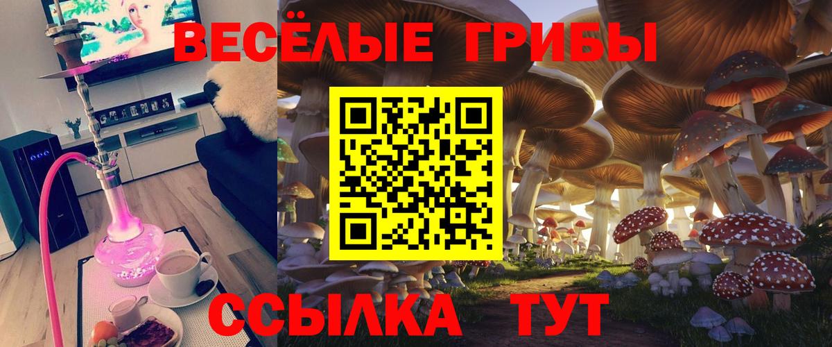 Изобильный  Псилоцибиновые грибы мухоморы  Псилоцибиновые грибы Psilocybe  Вход с VPN 
